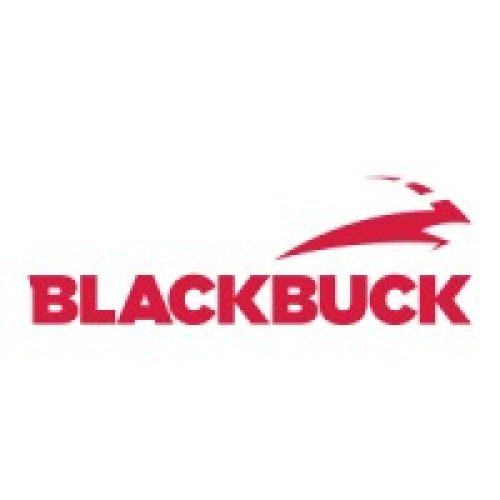 blackbuck